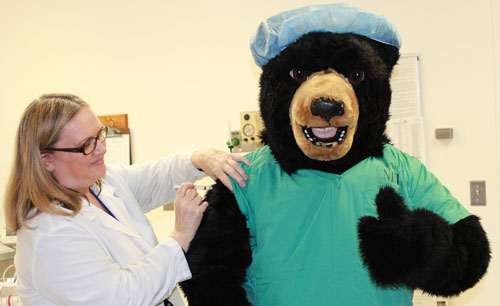 NIH Bear receiving a flu vaccine