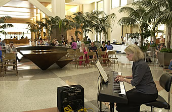 Ann Brewer plays classical music selections in the CC atrium as part of the NIH Summer Concert Series at the Oasis.