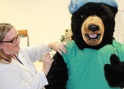 The person who gave the shot was sweeter than honey! said the NIH Bear as he received the vaccine