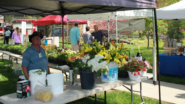 a man selling flowers at the Recreation and Welfare Community Market