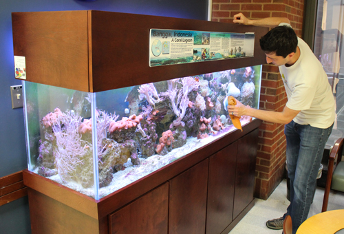 Joseph Farmer cleaning the aquarium's glass
