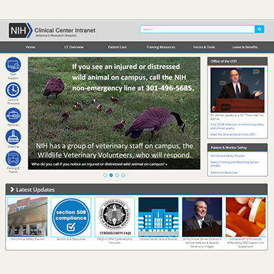 Screenshot of Intranet Webpage