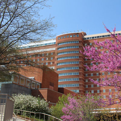 the NIH Clinical Center