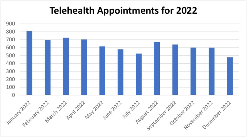 Graphic details the number Telehealth appointments by month for 2022