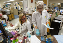 two lab technicians working