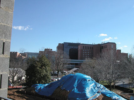 View of Clinical Center Campus across the street from the Lodge