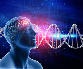 human head DNA brain graphic