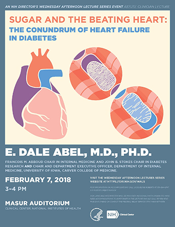 Flyer for the Astute Clinician Lecture for February 7, 2018 - an artistic depiction of non-diabetic (top circle) and diabetic (bottom circle) mitochondria in cardiac muscle